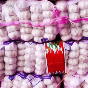 代收代储大蒜 新农副产品 可做餐饮调味用 质量保证