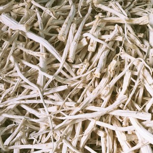 桔梗圆个 袋装斜切色泽自然泡菜用狗宝
