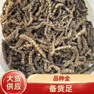 厂家供应虫草参跑江湖 竹节参地参虫草参批发云南白虫草 土冬虫草